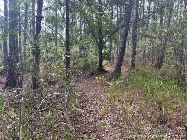 0 Water Road, Groveland Mascotte, FL 33868 - #3