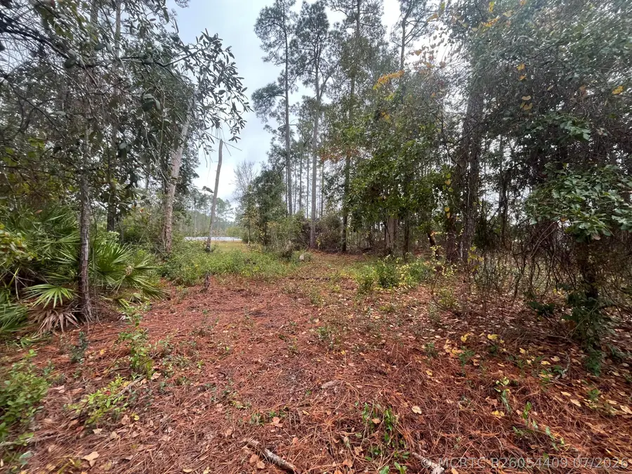 Tbd Susan Street, Interlachen, FL 32148 - #2