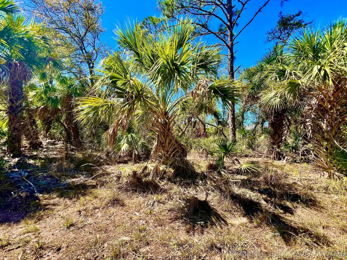 441 Juper Street, Port Charlotte, FL 33953 - #1