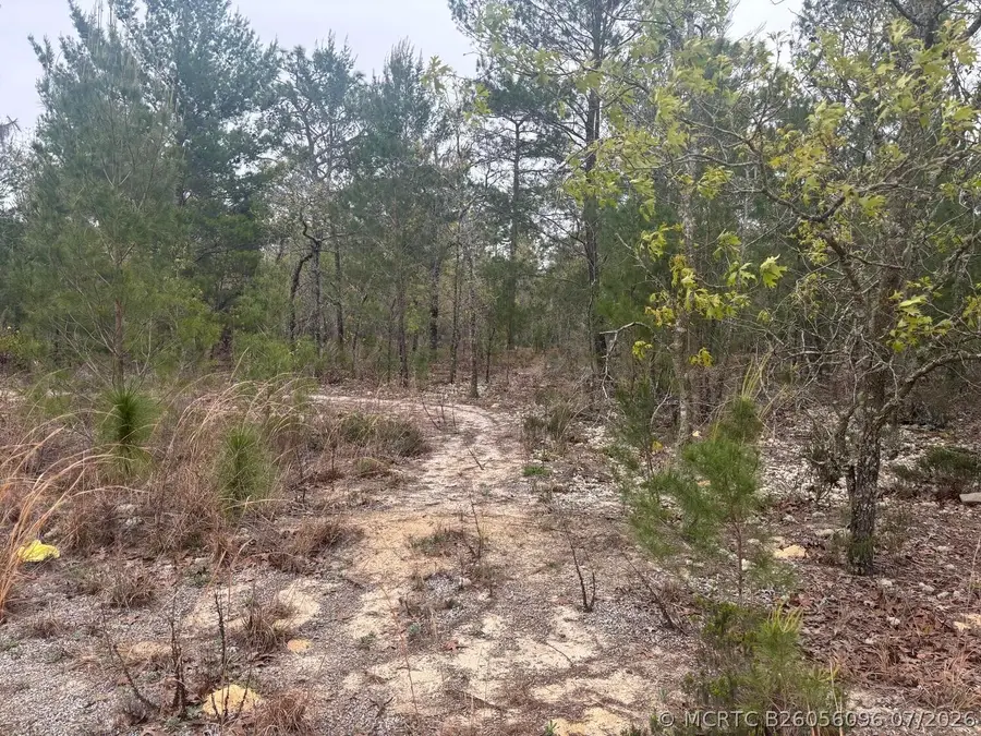 0 Grey Street, Interlachen, FL 32148 - #3