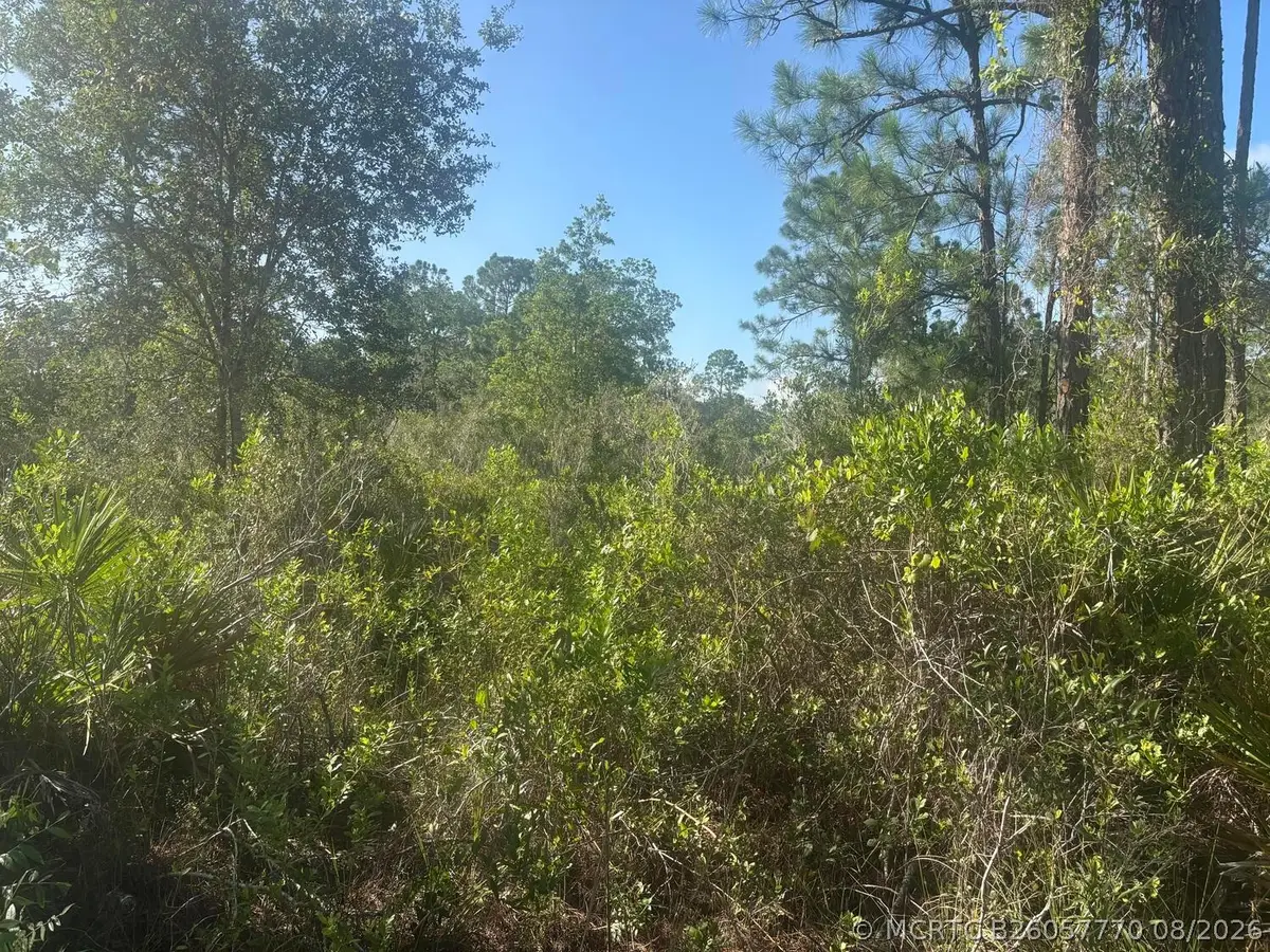 1021 Granger Street, Lake Placid, FL 33852 - #1