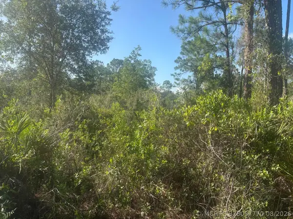 1021 Granger Street, Lake Placid, FL 33852