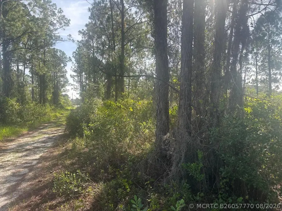 1021 Granger Street, Lake Placid, FL 33852 - #3