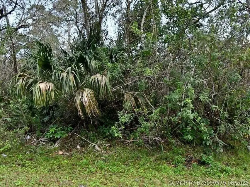 2120 Scott Avenue, Alva, FL 33920 - #1