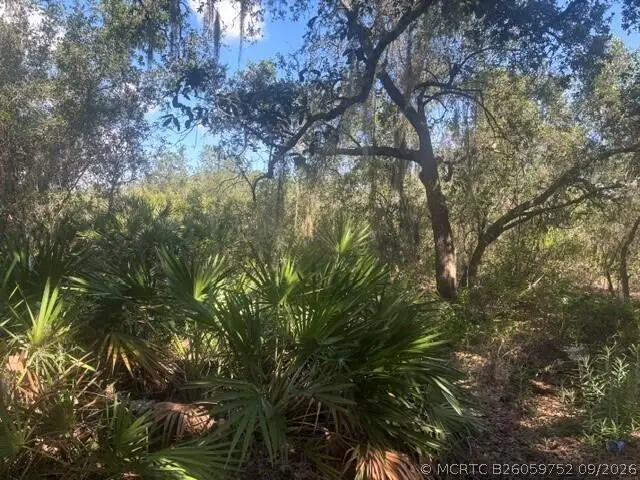 1211 Mayfair Street, Lake Placid, FL 33852 - #1