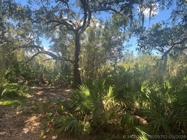 1211 Mayfair Street, Lake Placid, FL 33852 - #2