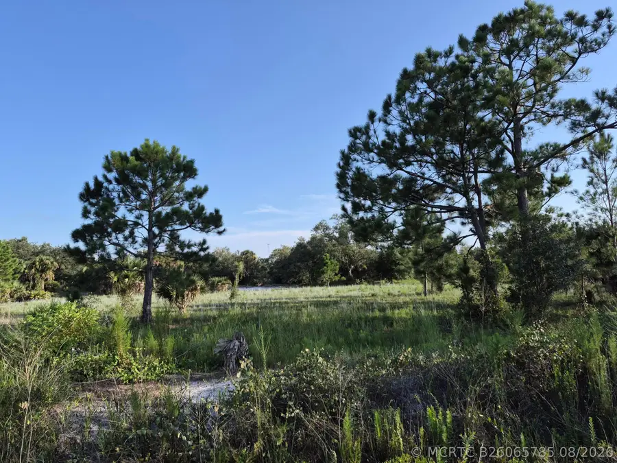 16810 NW 292nd Street, Okeechobee, FL 34972 - #3