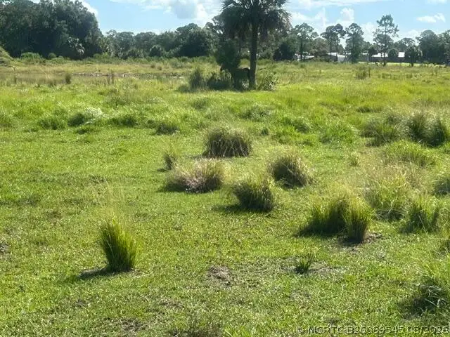 Tbd Mose Grade Road, Okeechobee, FL 34974 - #3