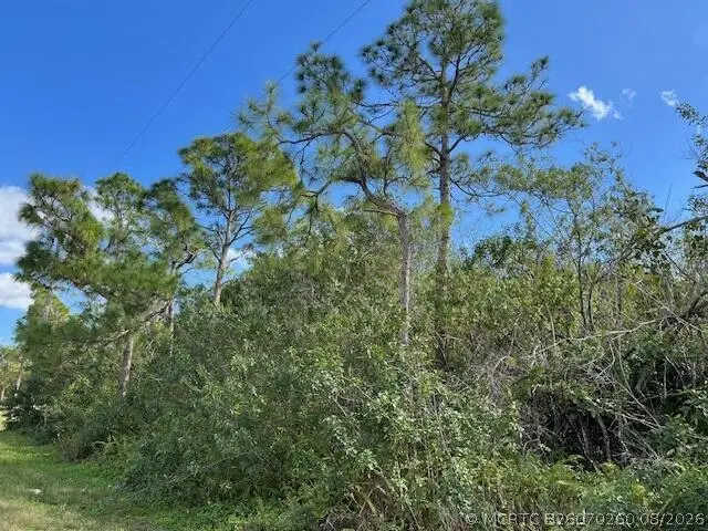 "17992" 94th Street N, Loxahatchee, FL 33470 - #1