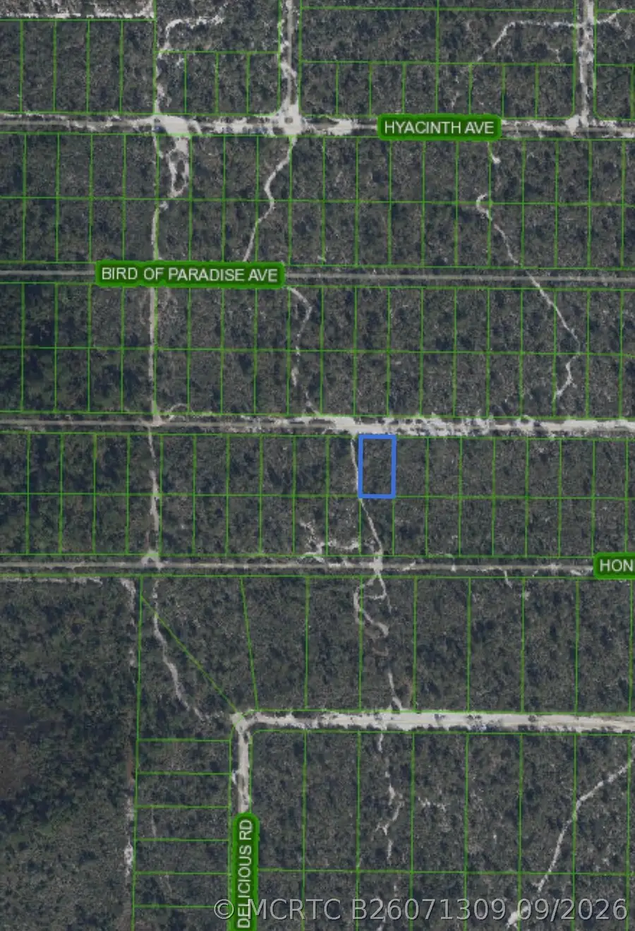 2221 Iris Avenue, Sebring, FL 33875 - #3