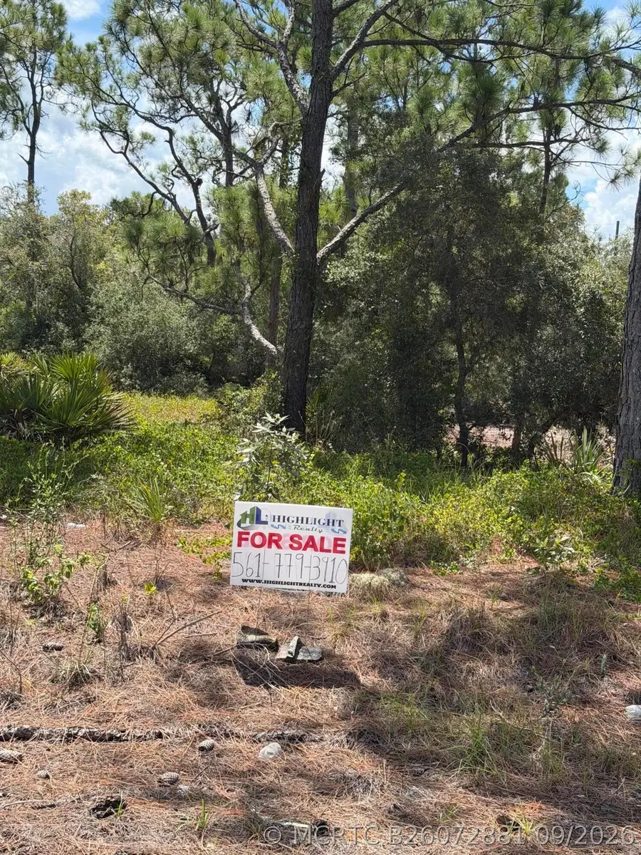 391 Marionette Avenue, Lake Placid, FL 33852 - #2