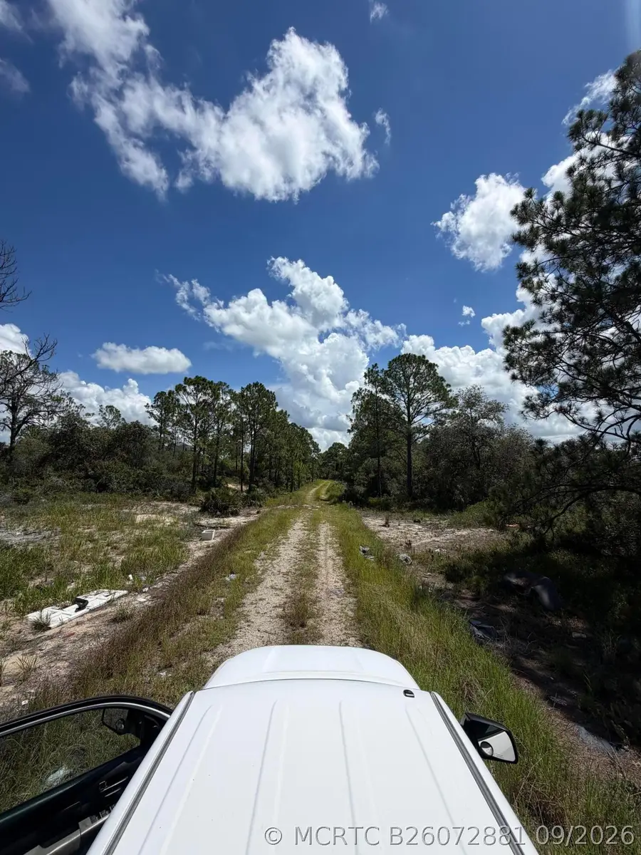 391 Marionette Avenue, Lake Placid, FL 33852 - #3