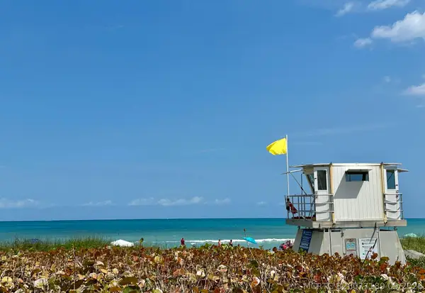9868 SE Sharon Street, Hobe Sound, FL 33455