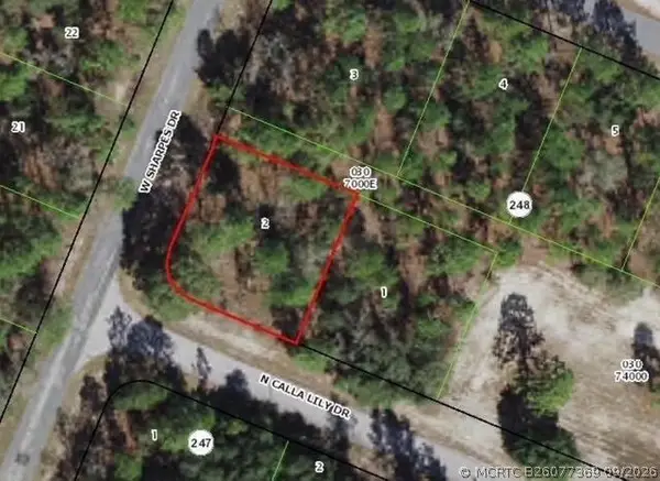 9735 N Calla Lily Way, Dunnellon, FL 34433