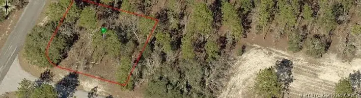 9735 N Calla Lily Way, Dunnellon, FL 34433 - #3