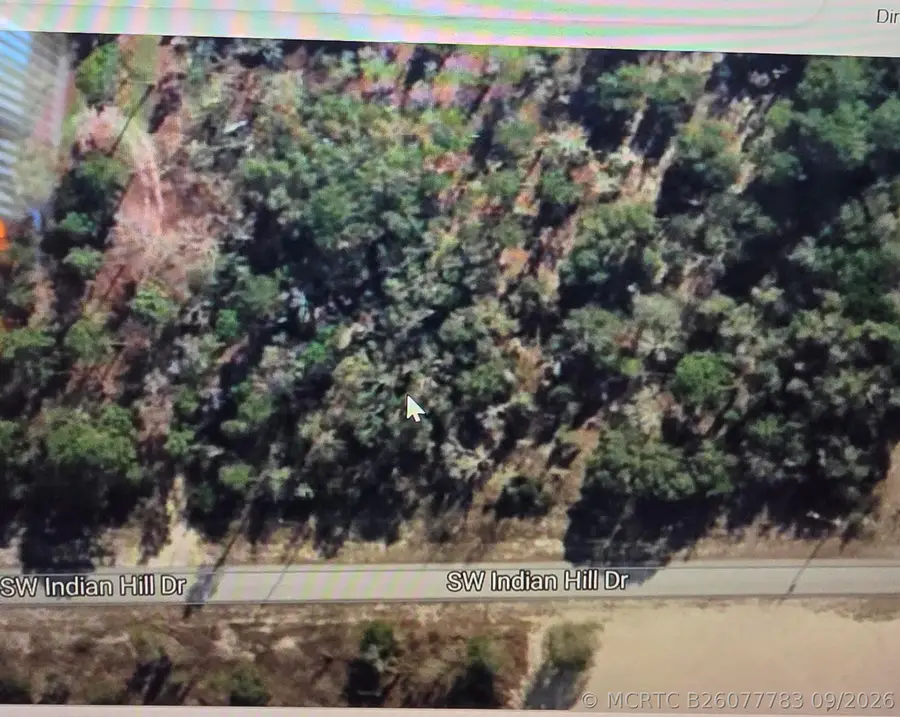 0 SW Indian Hill Drive, Dunnellon, FL 34431 - #3