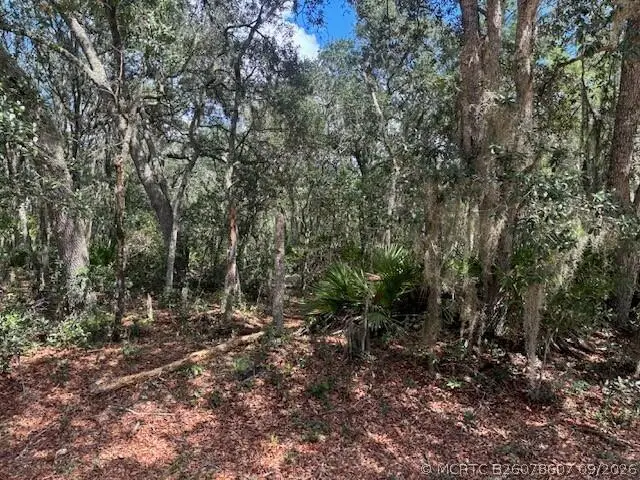 0 Hurley Street, Interlachen, FL 32148 - #2