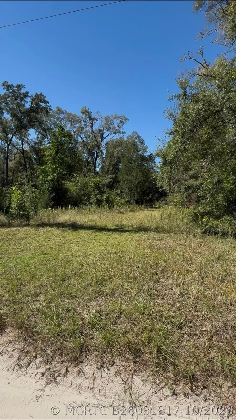 0 NE 6 Lane, Williston, FL 32696 - #3