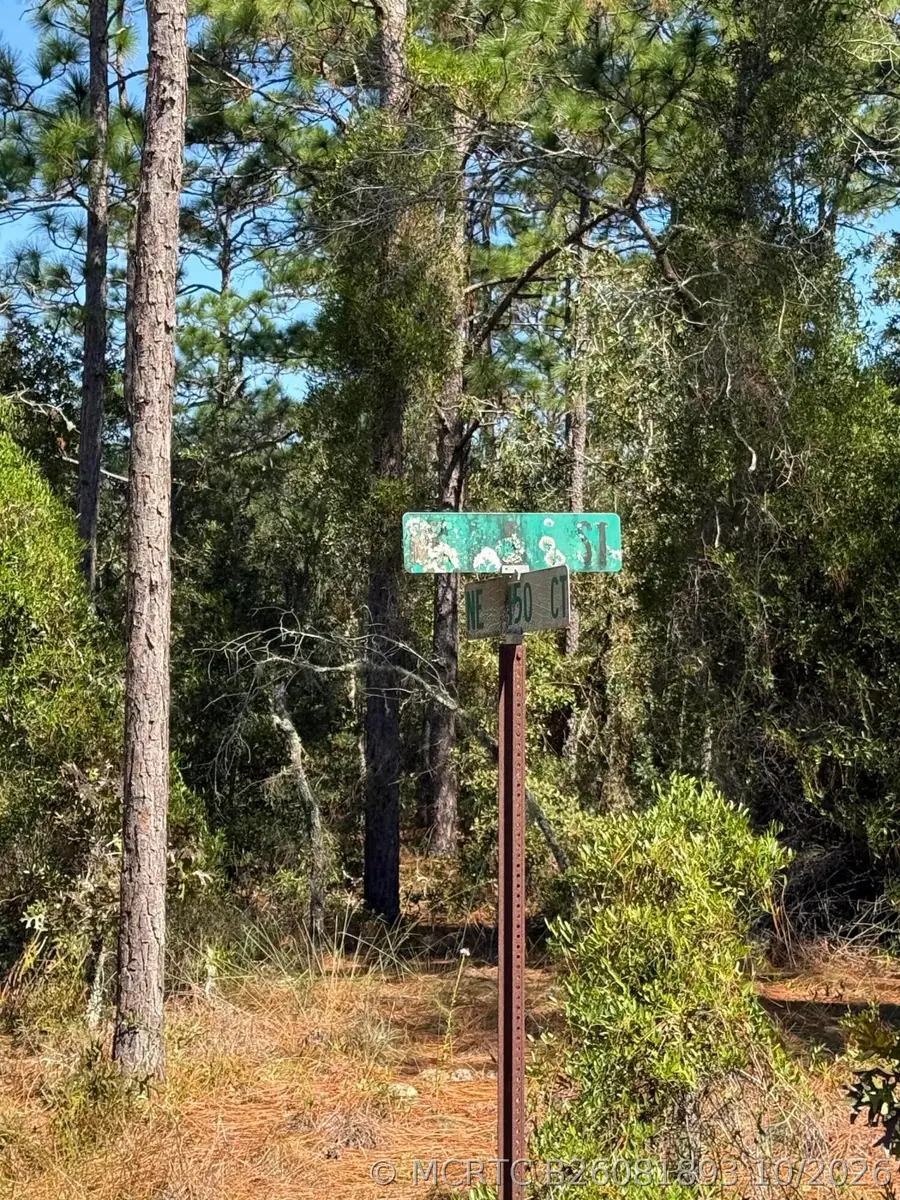 0 NE 150 Court, Williston, FL 32696 - #3