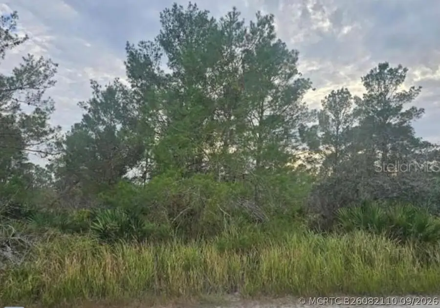 2200 Carla Avenue, Sebring, FL 33875 - #2