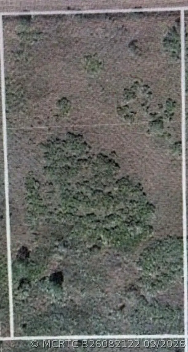 17128 NW 314th Street, Okeechobee, FL 34972 - #2