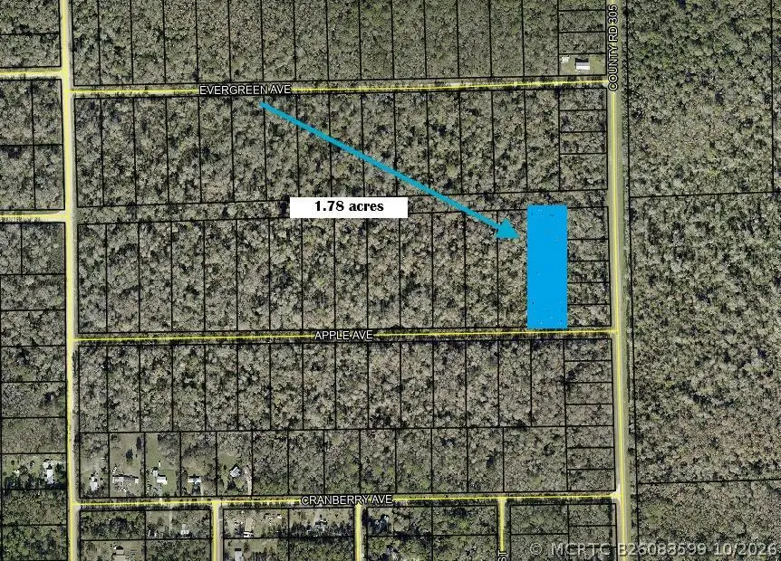 3540 Apple Avenue, Bunnell, FL 32110 - #1