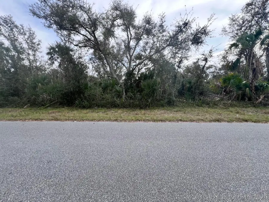 14447 Black Avenue, Port Charlotte, FL 33953 - #2