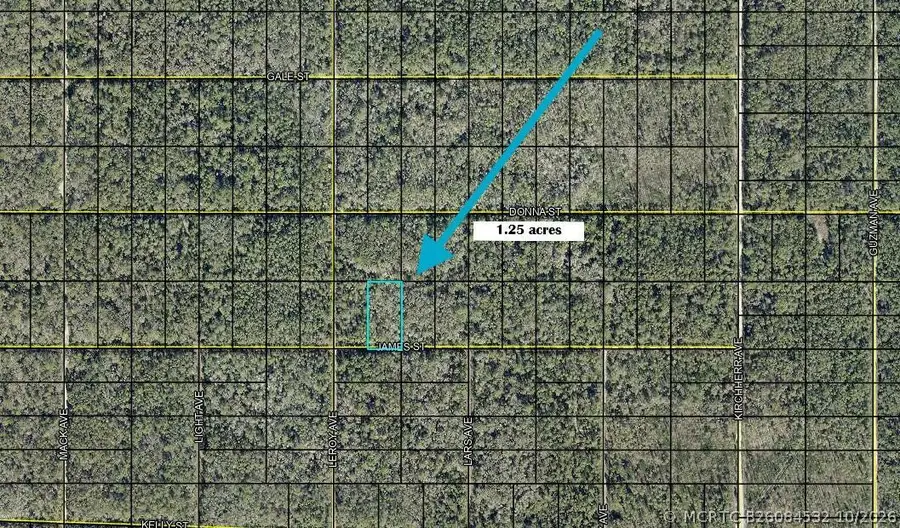 Tbd James, Hastings, FL 32145 - #2