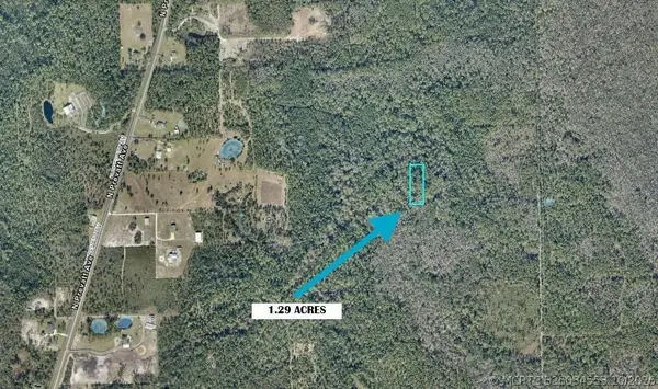 Tbd Lot 23, Lake Helen, FL 32744