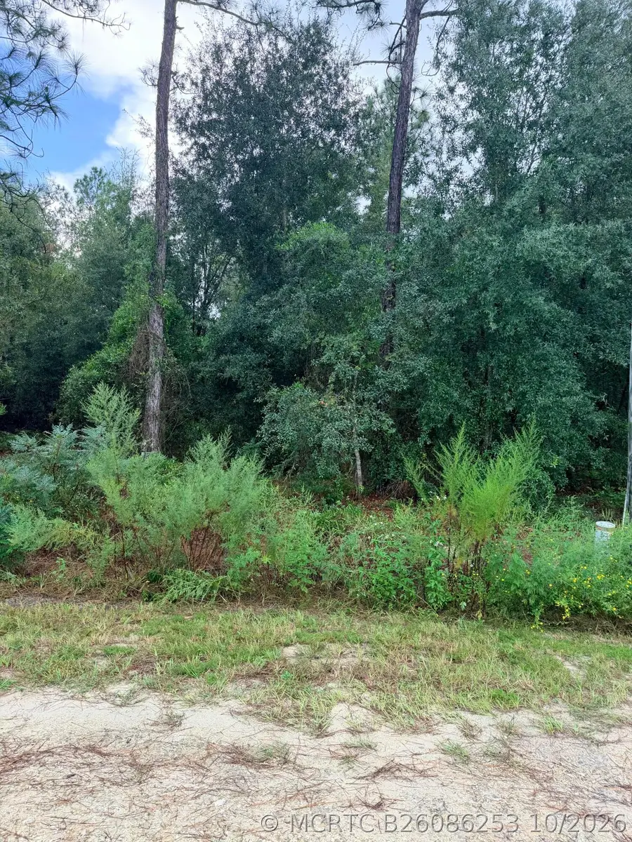 0 No Situs, Dunnellon, FL 34432 - #3