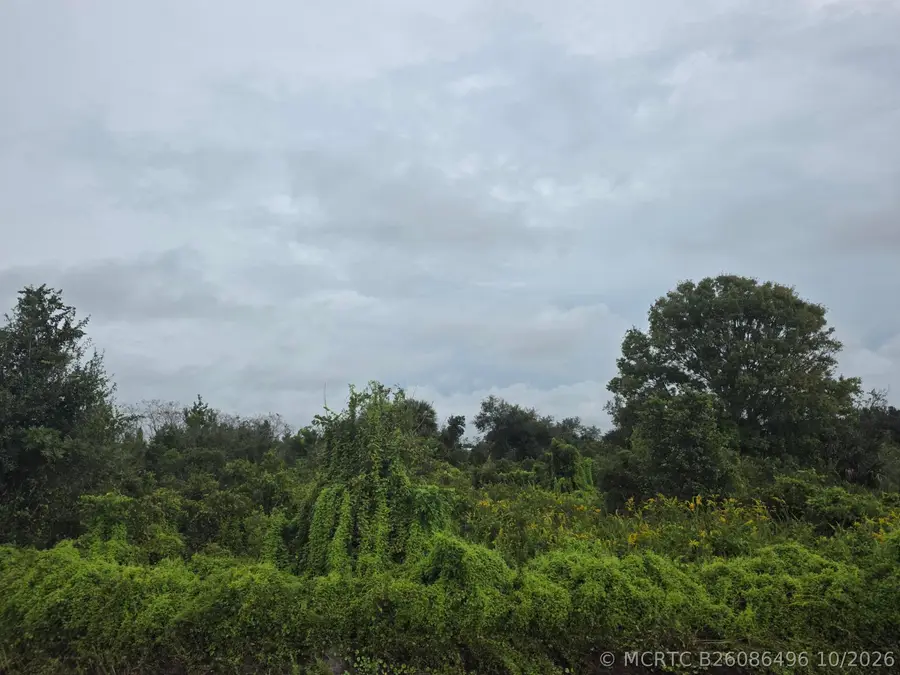 14977 NW 244th Street, Okeechobee, FL 34972 - #3