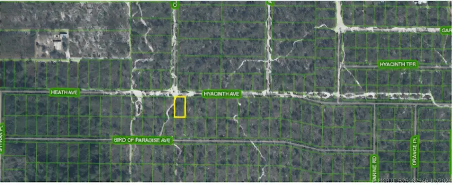 1437 Hyacinth Avenue, Sebring, FL 33875 - #2