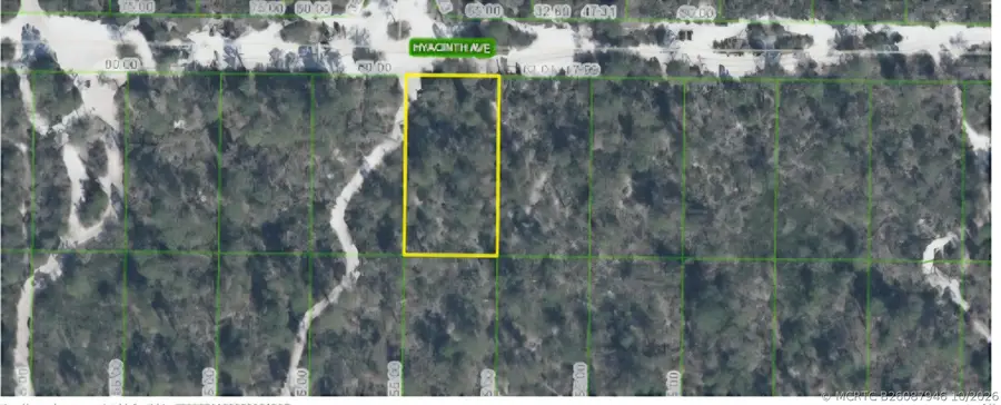 1437 Hyacinth Avenue, Sebring, FL 33875 - #3