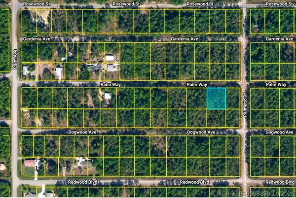 337 Palm Way, Georgetown, FL 32139