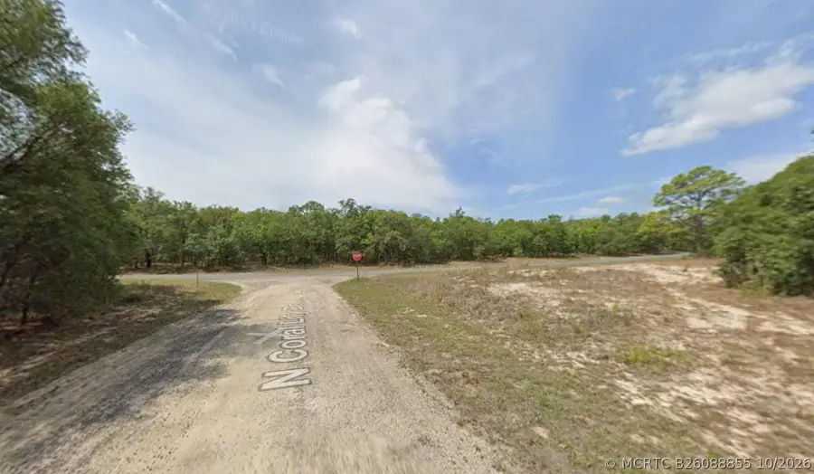 6371 N Coral Lily Drive, Dunnellon, FL 34434 - #3
