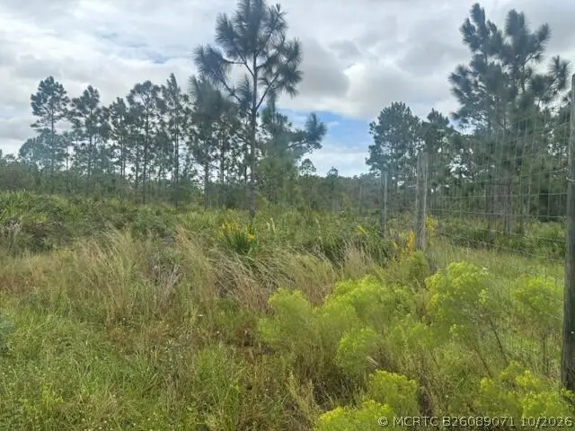 0 Kenansville, South And East Osceola, FL 34739 - #2