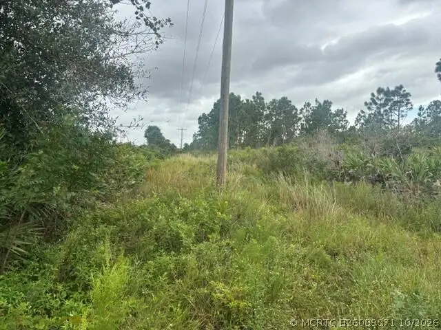 0 Kenansville, South And East Osceola, FL 34739 - #3