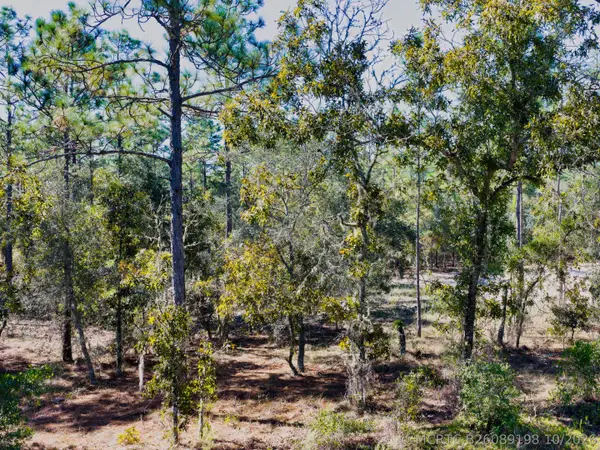 0 Sw Edgewater Blvd, Dunnellon, FL 34431