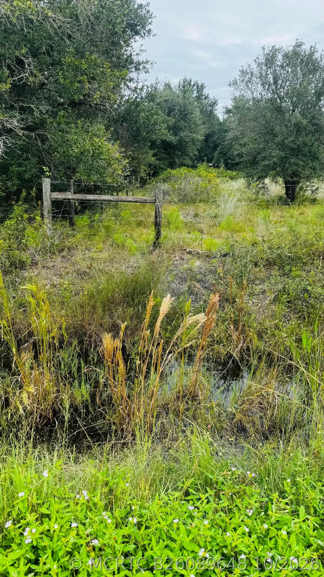 17011 NW 304th Street, Okeechobee, FL 34972 - #1