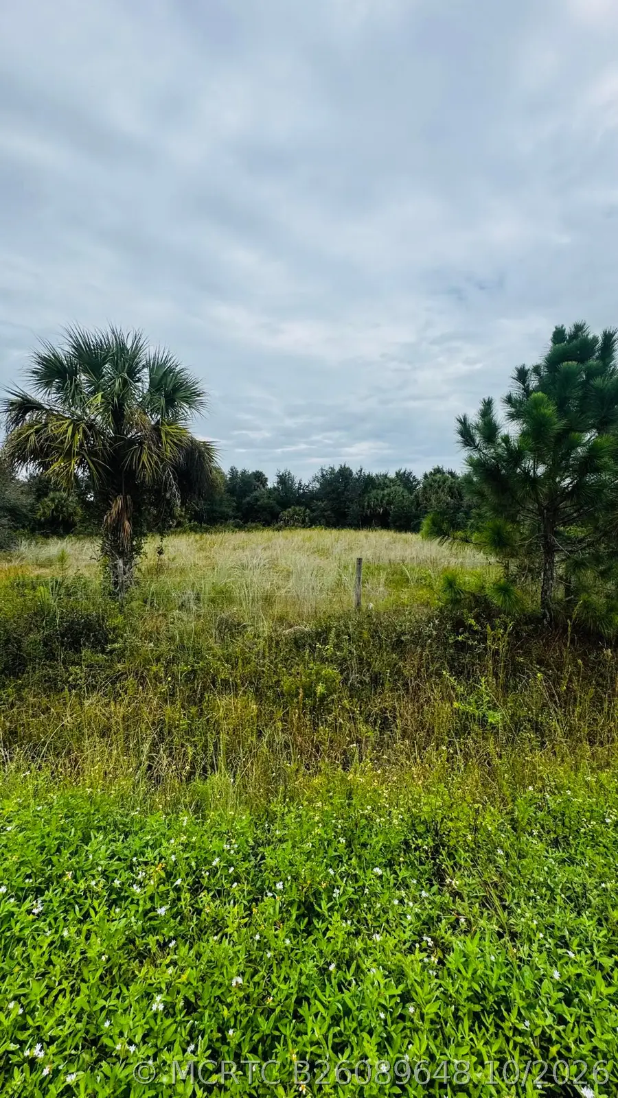 17011 NW 304th Street, Okeechobee, FL 34972 - #2