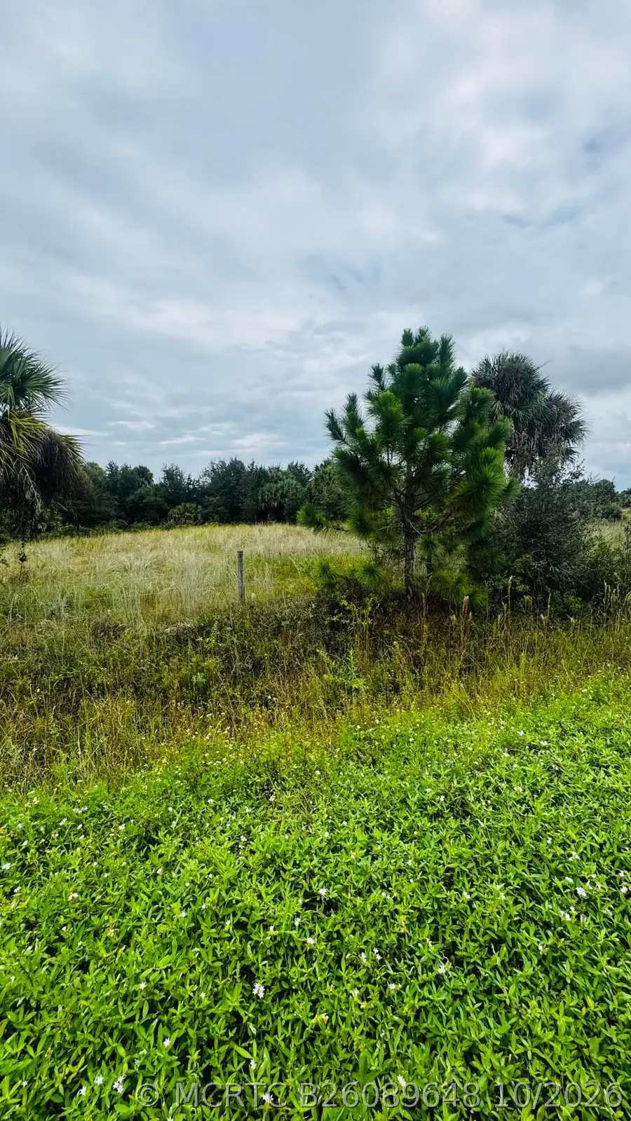 17011 NW 304th Street, Okeechobee, FL 34972 - #3