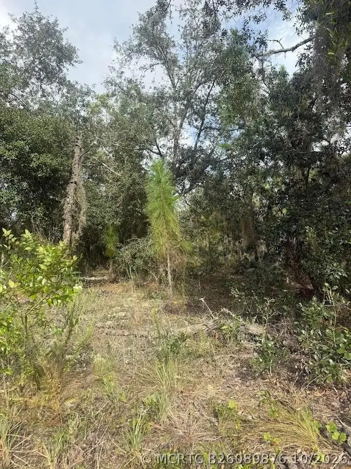 N/a SW Winding Hills Road, Dunnellon, FL 34431 - #3