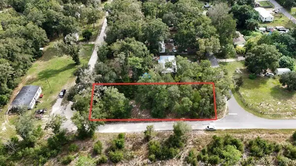 0 Wesley Avenue, Bell, FL 32619