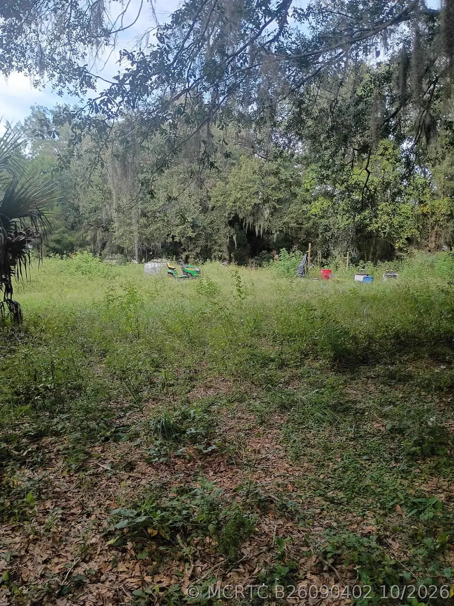17230 SE Highway 42, Weirsdale, FL 32195 - #3