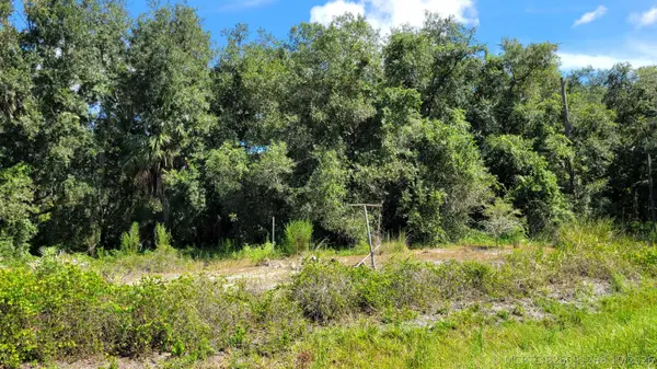 21439 NW 254th Street, Okeechobee, FL 34972