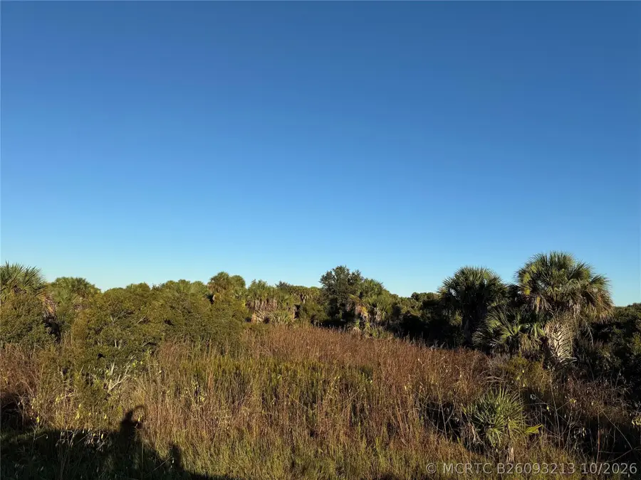 2025 Cabbage Lane, Okeechobee, FL 34974 - #2