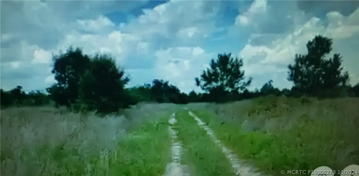 Lot D6 Palm Circle, Branford, GA 32008 - #1
