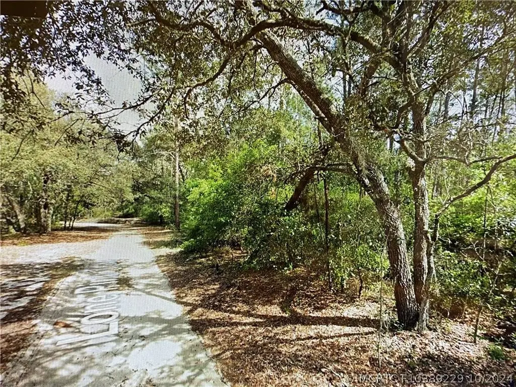 0000 Lone Pine Trail, Melrose, FL 32666 - #1