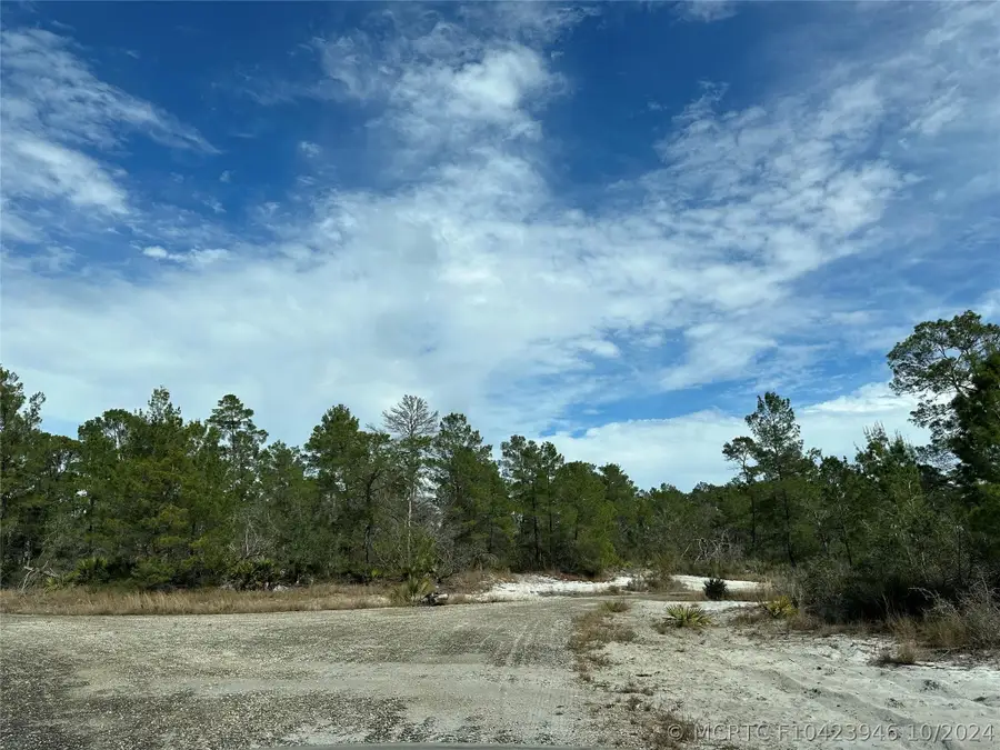4508 Briarcliff Avenue, Sebring, FL 33875 - #2