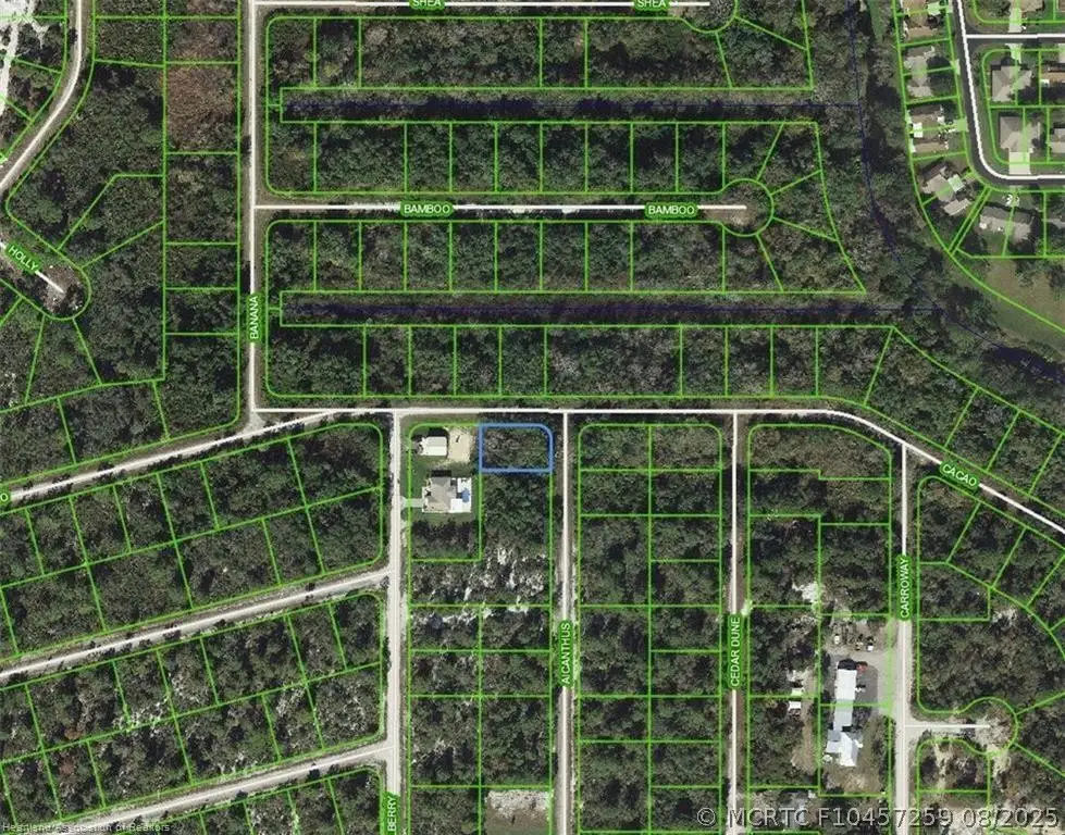1218 Ailanthus Street, Lake Placid, FL 33852 - #1